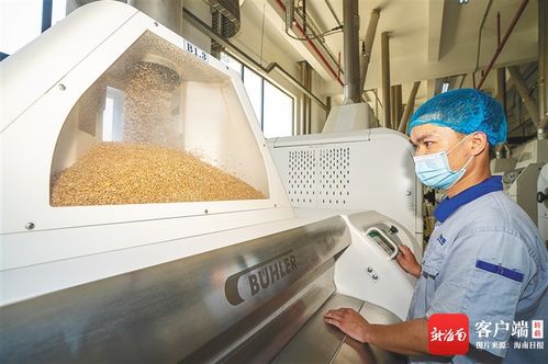 奋进新征程 逐梦自贸港 厅局篇 海南 加快构建现代化粮食安全保障体系 推进产业持续优化升级